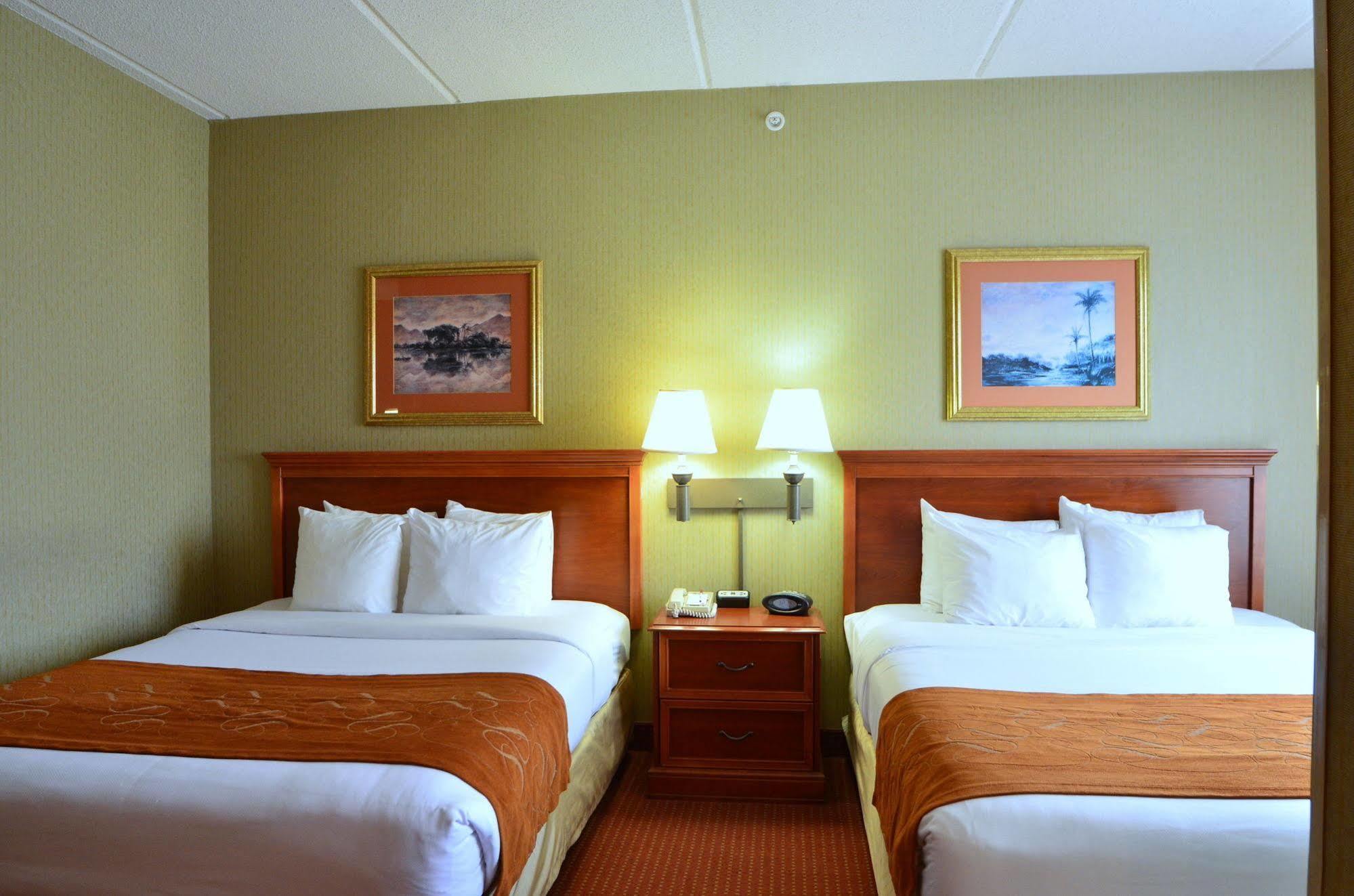 Comfort Suites Northlake Huntersville Exterior photo